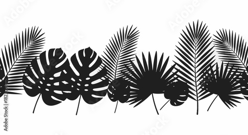 Black silhouette of tropical leaves (Monstera and palm) arranged in a horizontal line on a white background. Exotic and botanical.