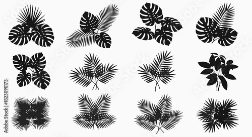 Black and white silhouette illustrations of tropical plants and leaves, including Monstera and palm varieties, arranged in various clusters.