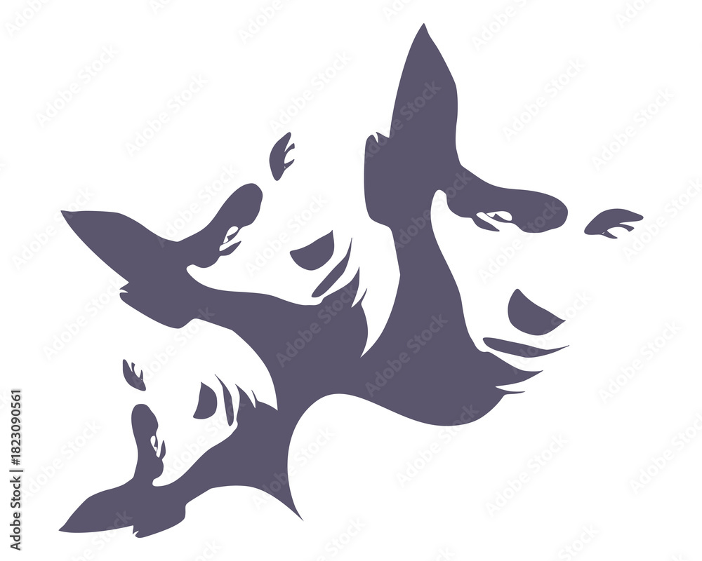 Fototapeta premium Metaphor bipolar disorder mind mental. Split personality. Concept mood disorder. Three head silhouette. Psychology and mental health. Multi personality concept.