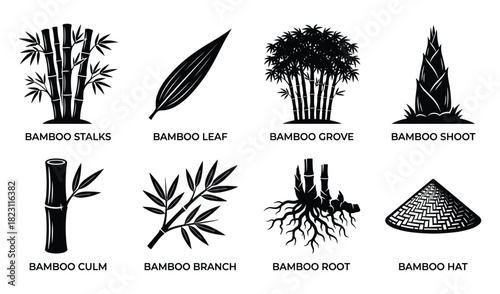 Collection of bamboo plant icons, including stalks, leaf, grove, shoot, culm, branch, root, hat vector illustration