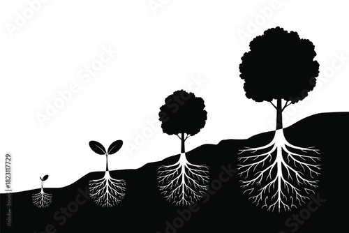 Four stages of tree growth from seedling to mature tree with visible roots sapling