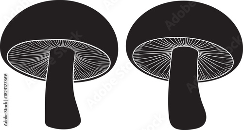 Two mushroom silhouettes with detailed gills