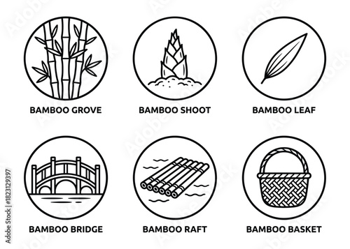 Set of bamboo-related icons covering grove, shoot, leaf, culm, bridge, raft, basket