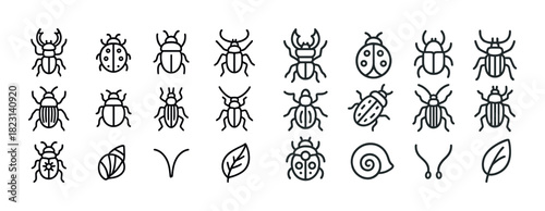 Insect icon set: beetles, bugs, and leaves in minimalist style
