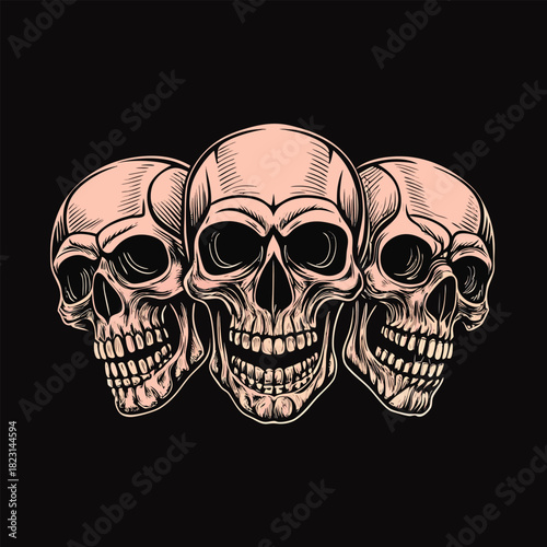 Three Vintage Style Skulls With Pink Hue On Black Background human head