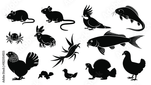 Animal silhouettes vector icon set design