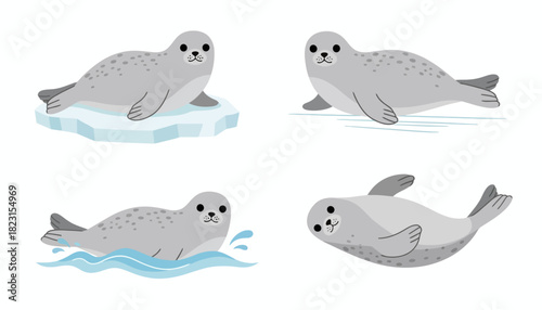 Cute Seals in Various Poses on Ice and Water