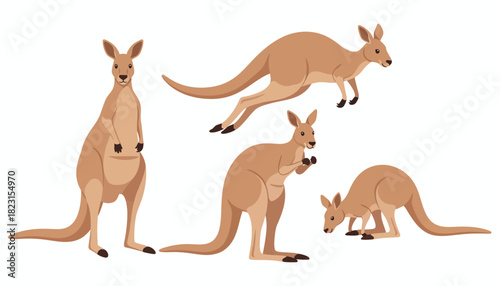 Collection of stylized illustrations of kangaroos in various poses