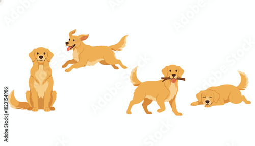 Golden Retrievers in various playful poses running, sitting, and resting with a stick
