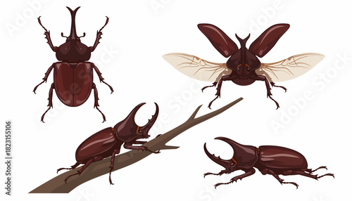 Vector illustration of a rhinoceros beetle with open wings and on a branch