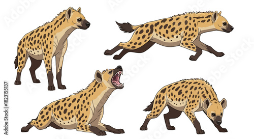 Four Hyenas Depicted in Various Poses on a White Background
