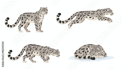 Collection of illustrations depicting a snow leopard in various poses, showcasing its agility and grace