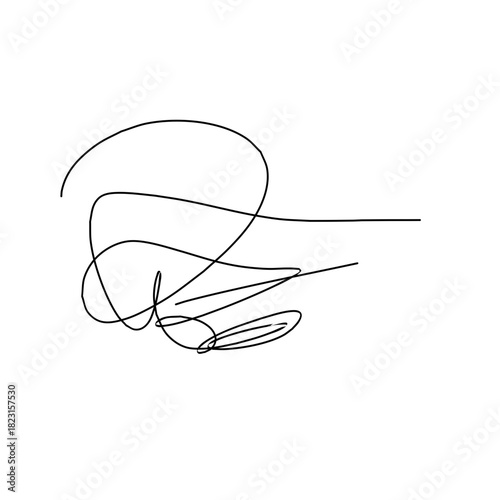 z letter signature