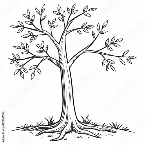 A solitary deciduous tree with visible roots and a few leaves on its branches rendered in a simple black and white line drawing style on a white background
