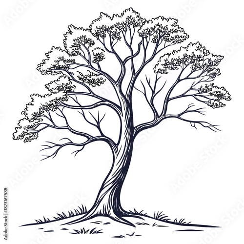 A detailed ink sketch of a majestic mature tree with a thick gnarled trunk spreading branches and a lush canopy of leaves standing on a grassy mound