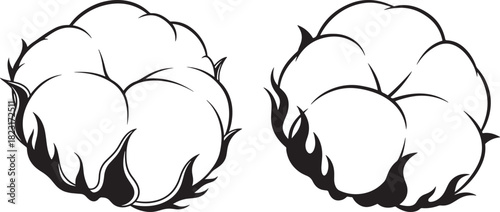 Two fluffy cotton bolls in a simple silhouette