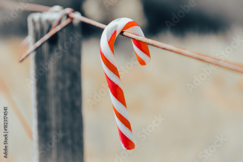 christmas candy cane hanging on farm fence