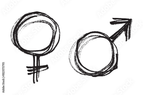 Hand drawn female and male gender identity sign Symbol used to represent sex and gender Single element for print, web, design, decor