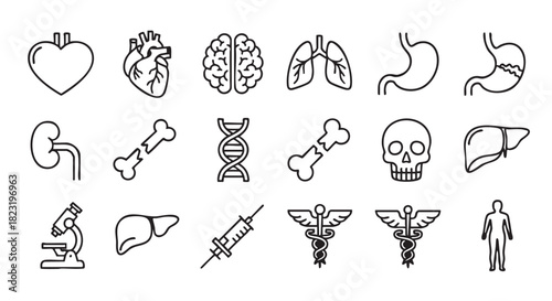 Set of medical icons representing different organs and healthcare elements