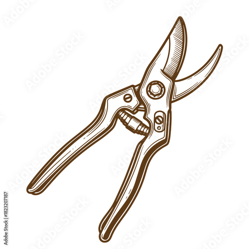 Detailed vintage garden pruning shears sketch illustration on a clean white background