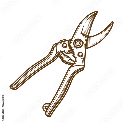 Detailed vintage sketch illustration of pruning shears gardening tool isolated on white