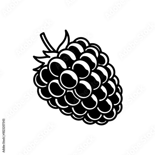 Blackberry icon