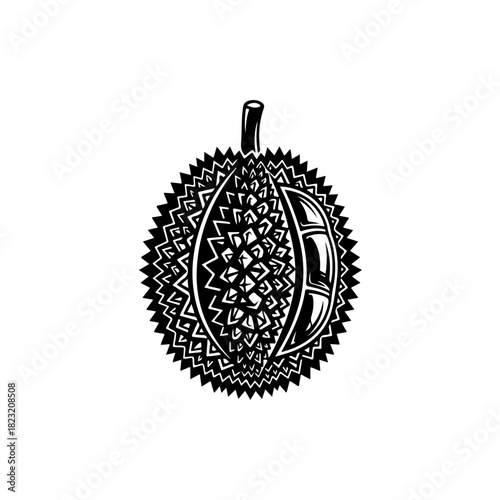 Durian fruit illustration