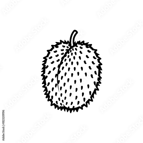 Durian fruit illustration