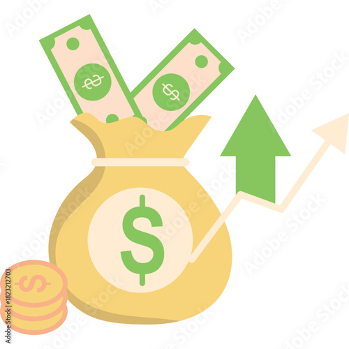 Money Bag Flat Illustration