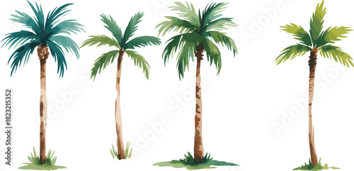 Stylized palm tree illustration set, four tropical frond and trunk variations, botanical vector graphic, nature design elements, landscape clipart