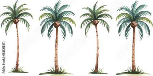 Stylized palm tree illustration set, four tropical frond variations, botanical vector graphic, nature design elements, landscape clipart, exotic foliage