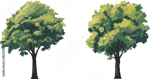 Stylized tree illustration duo, lush green foliage vector, nature design elements, landscape decoration clipart, artistic botanical graphics, eco-friendly icons