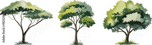Stylized tree illustration set, diverse canopy shapes and trunk structures, nature vector collection, botanical design elements, landscape clipart