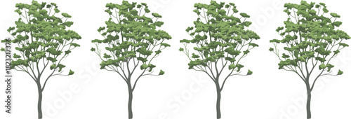 Stylized tree illustration set, uniform green foliage vector, nature design elements, landscape clipart, botanical graphics, eco-friendly tree modeling icons
