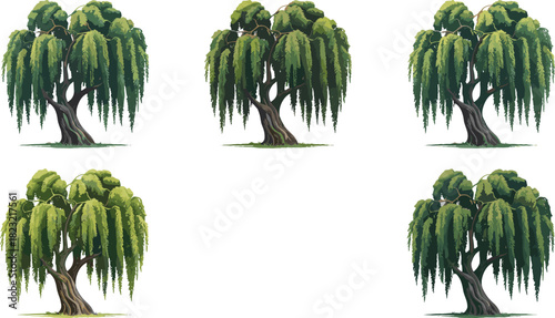 Stylized willow tree illustration set, five drooping canopy variations, botanical vector graphic, nature design elements, landscape clipart, foliage study