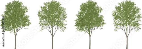 Stylized tree illustration set, uniform green foliage vector, nature design elements, landscape clipart, botanical graphics, eco-friendly tree modeling icons