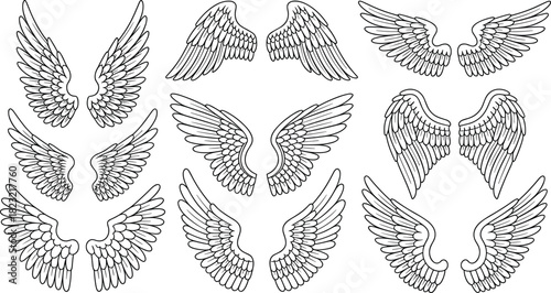 Stylized wing vector pack, black and white symmetrical feather illustrations, abstract bird wings, tattoo design elements, fantasy, mythology, gothic, decorative art