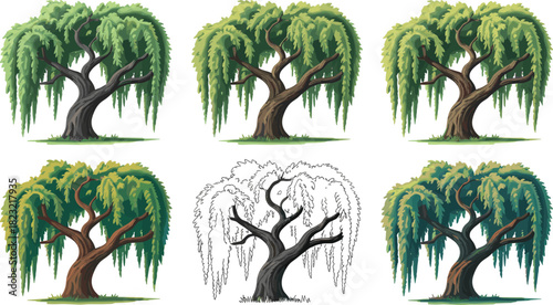 Stylized willow tree illustration set, six drooping canopy variations, botanical vector graphic, nature design elements, landscape clipart, foliage study