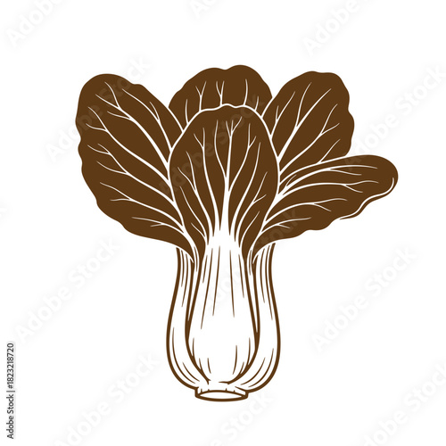 Artistic brown bok choy illustration of a fresh vegetable with white background.