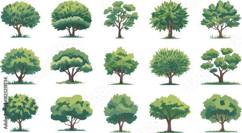 Tree illustration set, diverse foliage and trunk styles, cartoon botanical vector collection, landscape design clipart, isolated white background