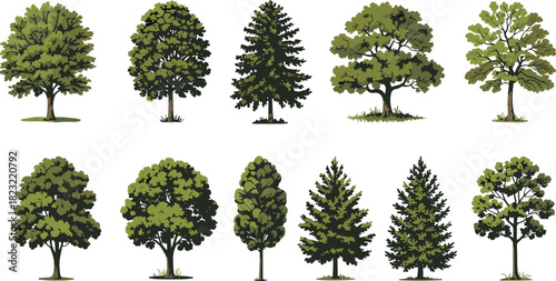 Tree vector set with diverse shapes and foliage, cartoon forest elements, educational greenery icons, landscape design illustration, nature species collection