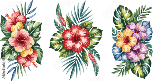 Tropical flower illustration set, hibiscus and palm leaf arrangements, botanical vector graphic, nature design elements, exotic floral clipart