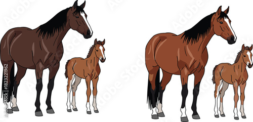 Horse and foal, animal pair, cartoon horses, brown horse, reddish horse, white blaze, farm animals, vector illustration, equine family, cute foals, standing horses, animal anatomy, horse markings,