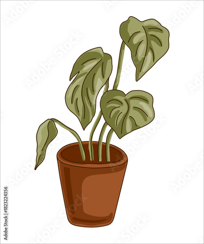 Potted plant isolated on white background. Vector illustration.
