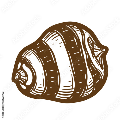 Hand drawn sketch illustration of a root vegetable with a vintage style appearance