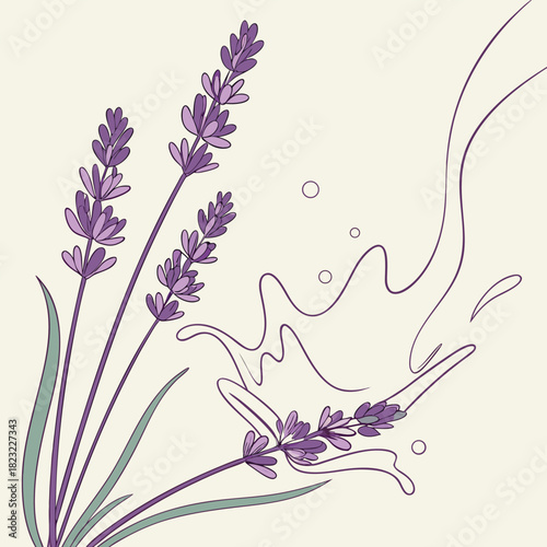 Lavender sprigs with abstract splash and circles Keywords: lavender, herb, plant, flower, floral, botanical, purple, green, stem, leaves