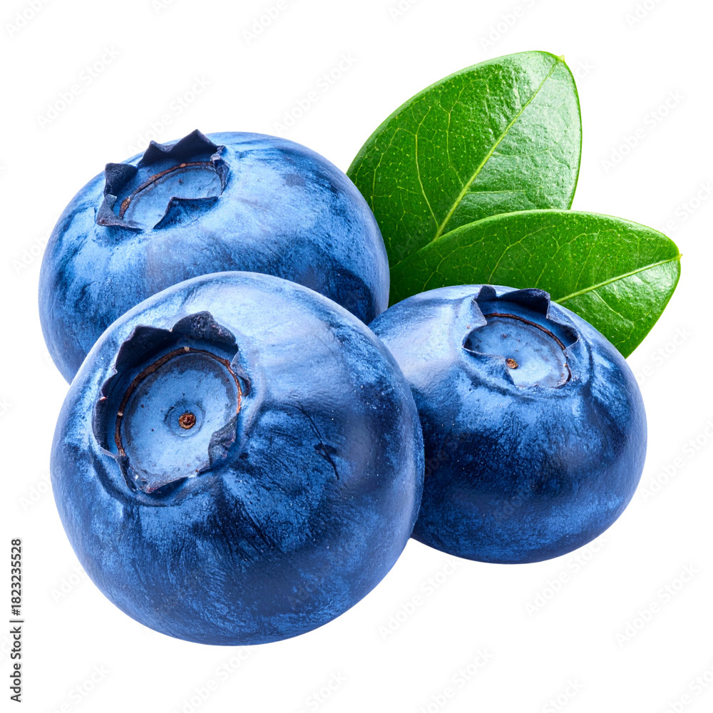 Obraz premium Fresh, organic blueberries are isolated on a white background, offering a healthy and sweet macro view of the ripe blue fruit