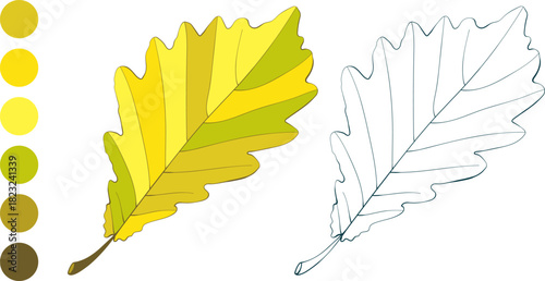 Set of hand-drawn golden colored withered oak autumn leaf isolated on white background. Flat and line styles vector illustrations.