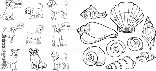 Black and White Line Art Illustrations of Dogs and Seashells