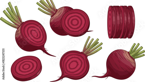 Beetroot illustration, whole and sliced, vegetable anatomy, botanical drawing, red root, healthy food, vibrant color, organic produce, nutrition